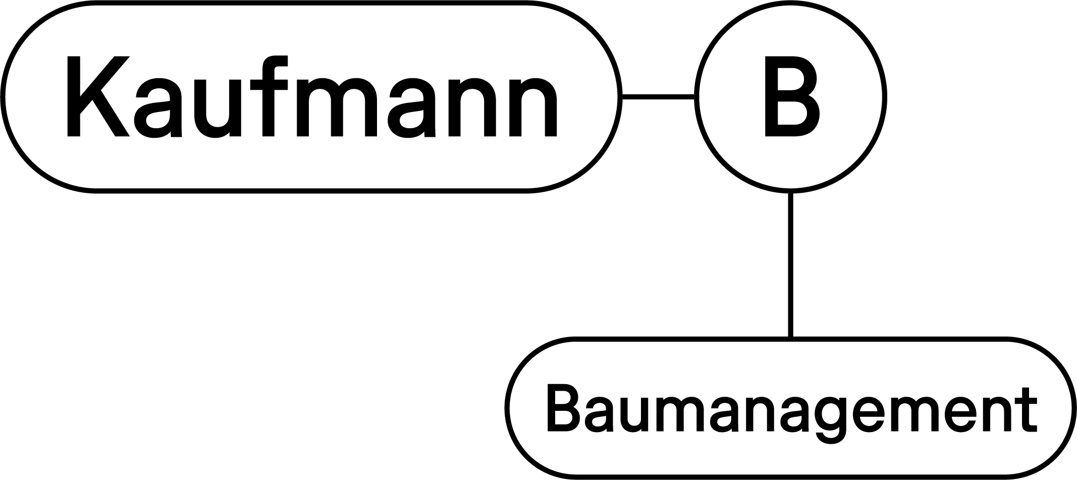 Kaufmann B Baumanagement GmbH